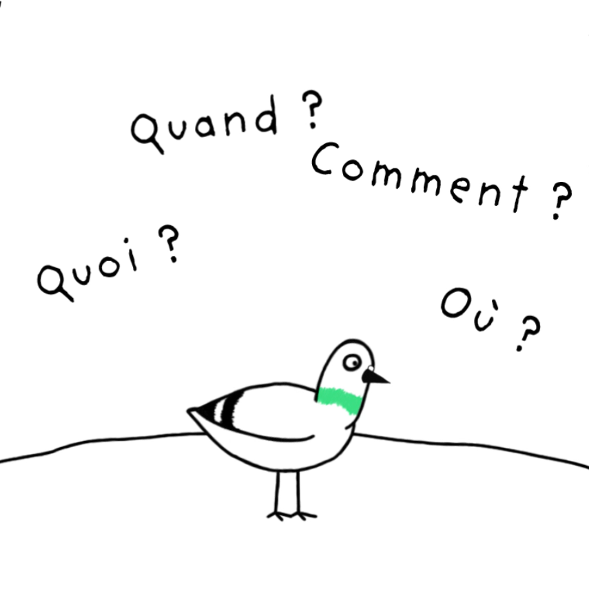 La Boussole, service d’orientation et d’insertion professionnelle de l’UT2J